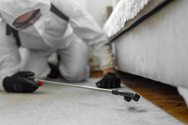 Professional Cockroach Control technician working in North Lewisburg, OH