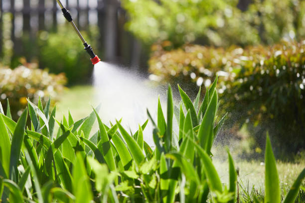 24/7 Emergency Cockroach Control experts in North Lewisburg, OH